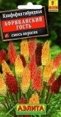 Книфофия Африканский гость смесь окрасок (Аэлита) 