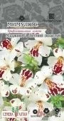 Мимулюс Мэджик Летний поцелуй 7шт (Сем Алт)