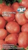 Картофель Краса (СеДек)