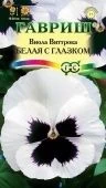 Виола белая с глазком (Гавриш)