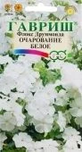Флокс Очарование белое друммонда (Гавриш) 