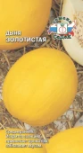 Дыня Золотистая (Седек)