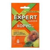 Хорус 2г (ЭГ) 1/30/120
