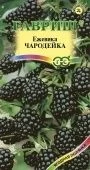 Ежевика Чародейка (Гавриш) 1/800 