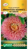 Астра ХРИЗАНТЕЛЛА Фламинго на закате китайская 5шт (Евросемена)