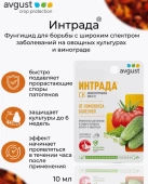 Интрада 10мл 1/80 (Август)
