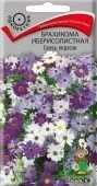 Брахикома иберисолистная  Смесь окрасок 0,03гр (ПОИСК)