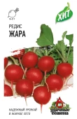 Редис Жара (Гавриш) МЕТАЛЛ