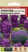 Лаванда Пурпурный колос узколистная 5шт (Сем Алт)