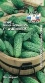 Огурец Филиппок (СеДек)