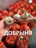 Чеснок озимый Добрыня 1кг +/-10% калибр 50 1/3/10 (Татарстан)