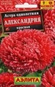 Астра Александрия красная (Аэлита)