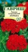 Лихнис Зорька  (Гавриш)