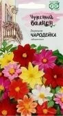 Георгина Чародейка смесь (Гавриш)