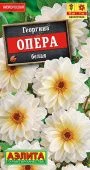 Георгина Опера белая 7шт (Аэлита)