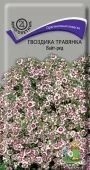 Гвоздика травянка Вайт-Ред 0,1г (ПОИСК)