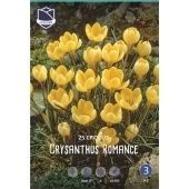 Крокус Романс 25шт (А)