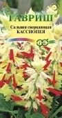 Сальвия Кассиопея карликовая (Гавриш) 1/1000