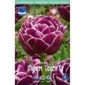 Тюльпан Дрим Тач махровый поздний 5шт (А)