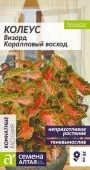 Колеус Визард Коралловый восход 5шт (Сем Алт)