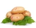 Картофель