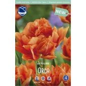 Тюльпан Орка махровый ранний 10шт (А)