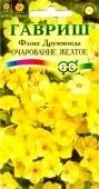 Флокс Очарование желтое друммонда (Гавриш)