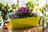 Ящик балконный Прованс с поддоном 6л длина 40см высота17см ширина13см фисташковый1/10 (ТехПласт)