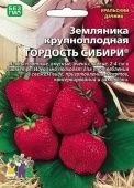 Земляника Гордость сибири крупноплодная 10шт (УД)