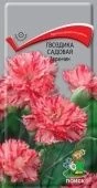 Гвоздика садовая Авранчин 0,1г (ПОИСК)