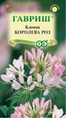 Клеома Королева роз (Гавриш)