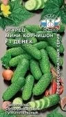 Огурец Денек (СеДек)