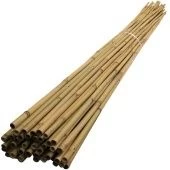 Палка бамбуковая 0,60м d6-8мм (Ф) 1/10