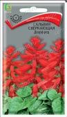 Сальвия Дварф ред сверкающая 0,1г (ПОИСК) 