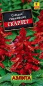 Сальвия Скарлет (Аэлита)