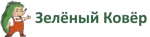 Зеленый ковер