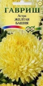00011576_Астра Желтая башня (Гавриш)