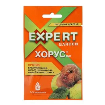 00041735_Хорус 2г (ЭГ)