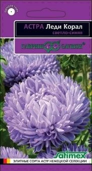 00010192_Астра Леди Корал светло-синяя (Гавриш) 1_