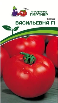 Снимок1