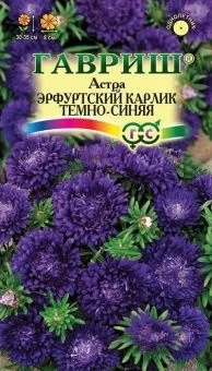 00009137_Астра Эрфуртский Карлик темно-синяя (Гавр