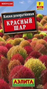 9c186a7f_5b6d_11ed_810f_0cc47adb9c64_dfba2314_53c5_11ef_812a_0cc47adb9c64