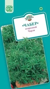 00008343_Чабер Садовый Чарли (Гавриш) 1_1000