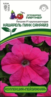 Снимок