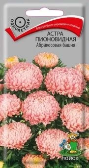 00040689_Астра Абрикосовая башня  пионовидная 0,3г
