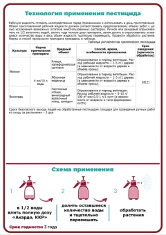 Снимок