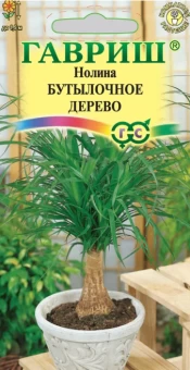 00007422_Нолина Бутылочное дерево (Гавриш) 1800