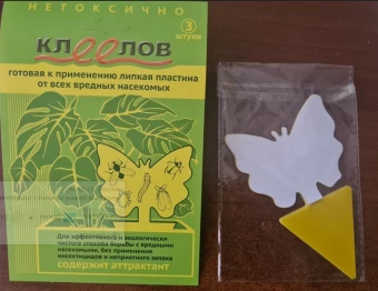 Снимок