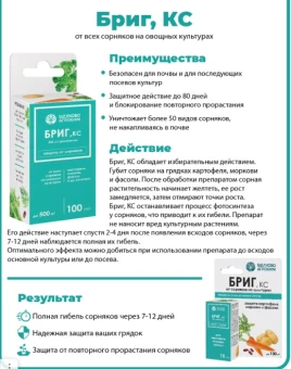 Бриг  (ЩА)