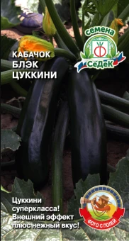 ЦБ-00020303_Кабачок Блэк цуккини (СеДек)